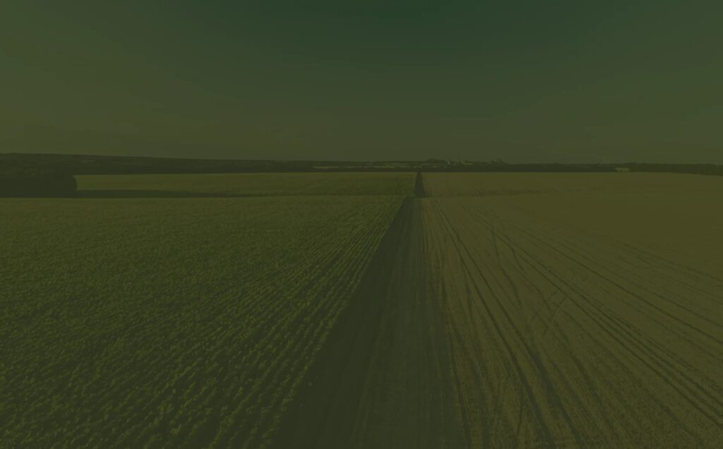 A New Name Card for Ningjin Equipment Manufacturing: XX Company Leads Development in Segmented Agricultural Machinery Sector with Technological Innovation landing background