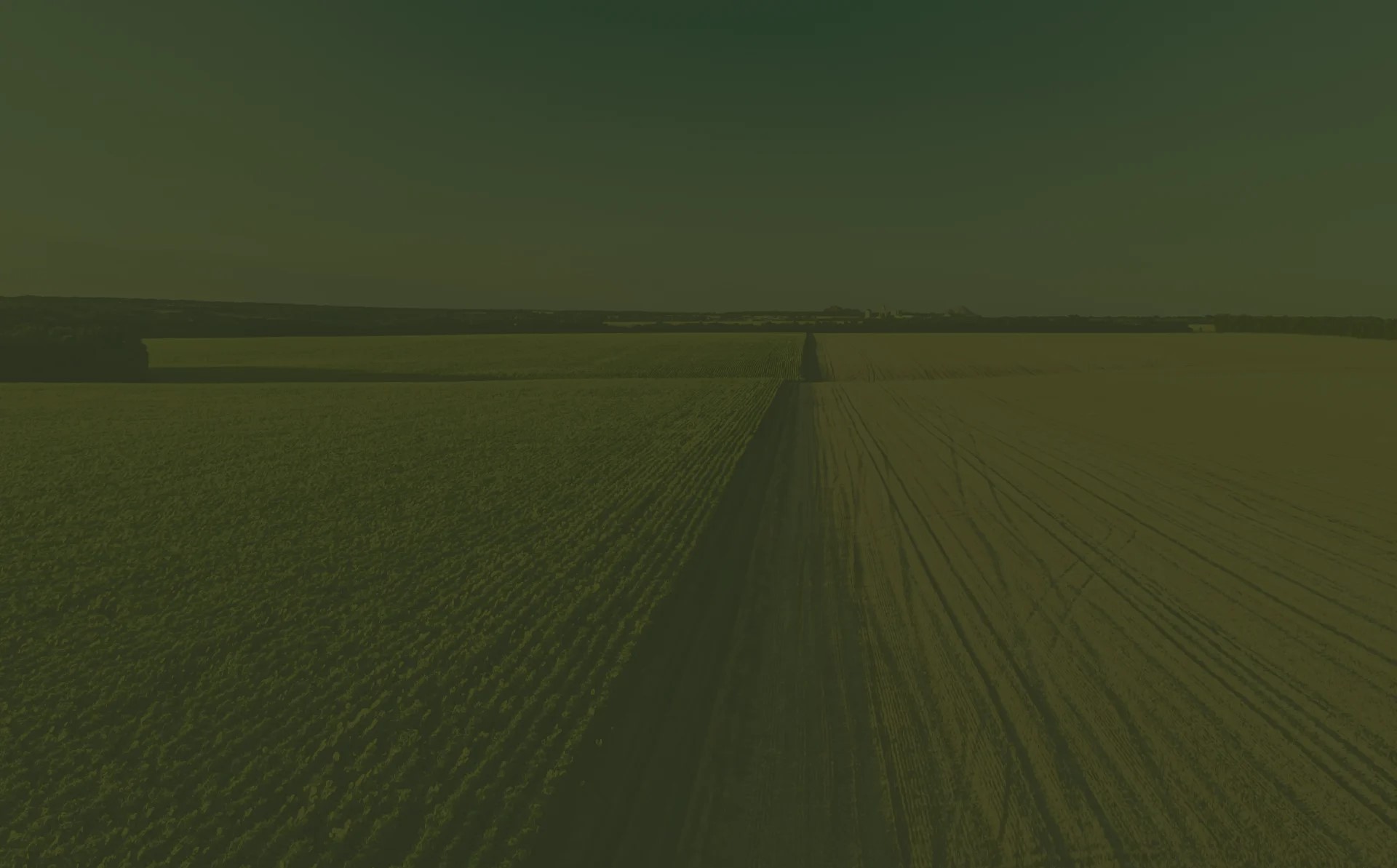 Home landing background